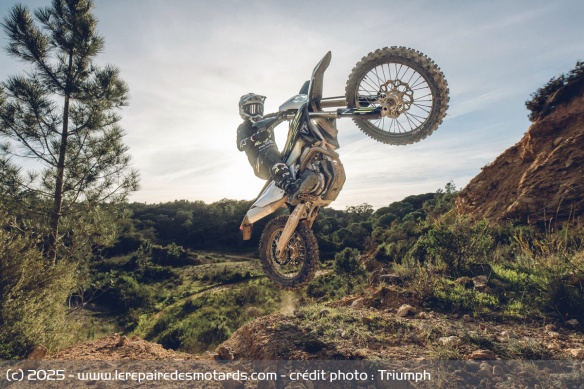 Enduro Triumph TF 450-E 2026 Enduro Triumph TF 450-E 2026