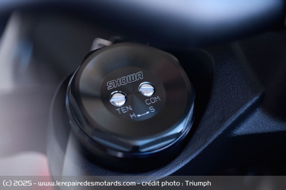 Roadster Triumph Trident 800 Roadster Triumph Trident 800