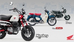 Motos Honda Dax et Monkey 2025