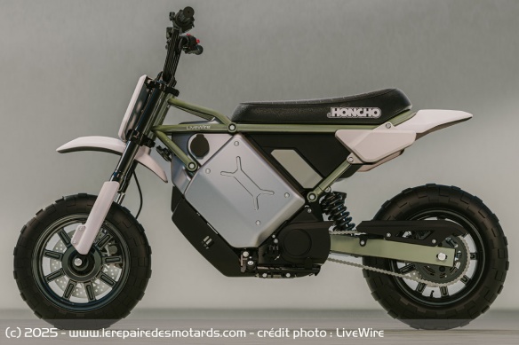 LiveWire S4 Honcho Trail