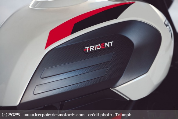 Roadster Triumph Trident 800 Roadster Triumph Trident 800