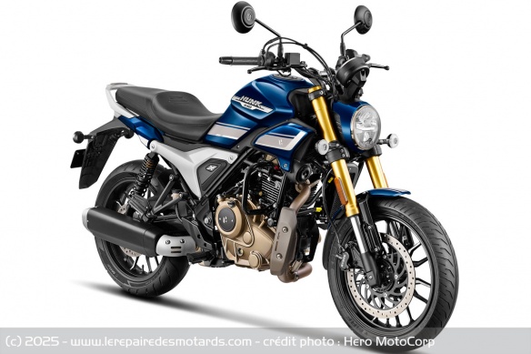 Roadster Hero MotoCorp Hunk 440