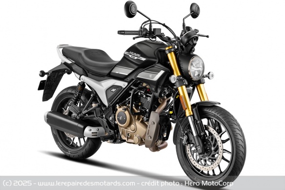 Roadster Hero MotoCorp Hunk 440