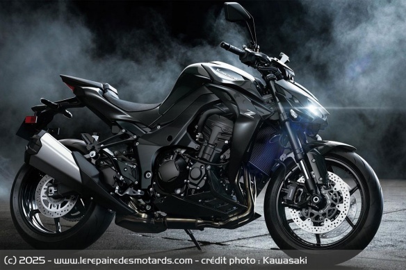Roadster Kawasaki Z1100 Roadster Kawasaki Z1100