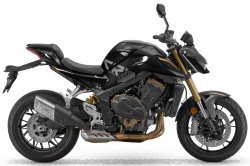 Roadster QJMOTOR SRK 800 Dark