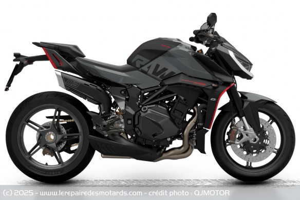 Roadster QJMOTOR SRK 921 Roadster QJMOTOR SRK 921