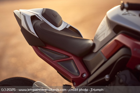 Roadster Triumph Street Triple 765 RX Roadster Triumph Street Triple 765 RX