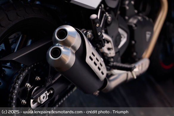 Roadster Triumph Tracker 400