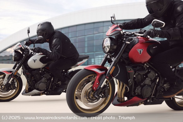 Roadster Triumph Trident 800 Roadster Triumph Trident 800