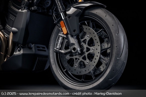 Trail Harley-Davidson Pan America 1250 ST Trail Harley-Davidson Pan America 1250 ST