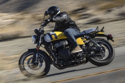 Scrambler Royal Enfield Bear 650 Wild Honey