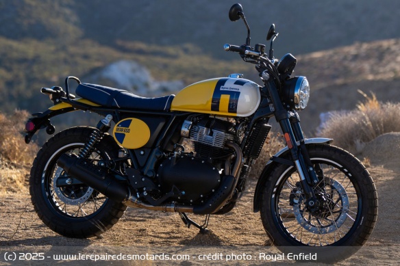 La Royal Enfield Bear 650 Wild Honey La Royal Enfield Bear 650 Wild Honey