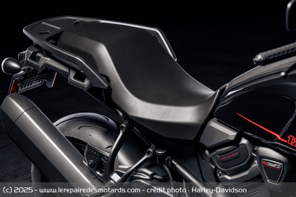 Trail Harley-Davidson Pan America 1250 ST Trail Harley-Davidson Pan America 1250 ST