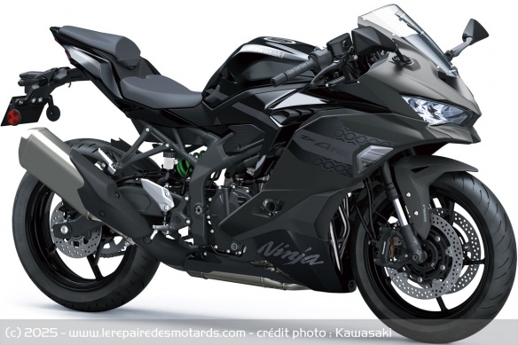 Kawasaki Ninja ZX-4RR 2026 Kawasaki Ninja ZX-4RR 2026