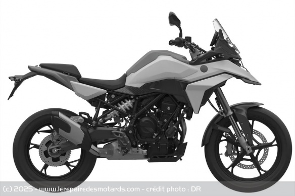 BMW F 450 GS BMW F 450 GS
