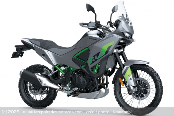 Trail Kawasaki KLE500 SE Gris Pearl Storm