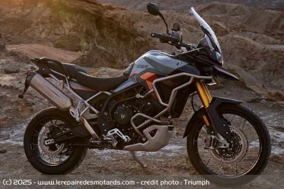 Trail Triumph Tiger 900 Desert Edition Trail Triumph Tiger 900 Desert Edition