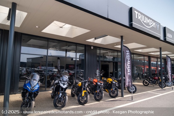 Triumph Agen Triumph Agen