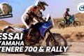 Essai trails Yamaha Ténéré 700 Rally