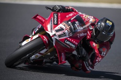 WSBK : Bulega en pole &agrave; Phillip Island - Cr&eacute;dit photo : Ducati