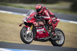 WSBK : Bulega domine le test de pr&eacute;-saison - Cr&eacute;dit photo : Ducati