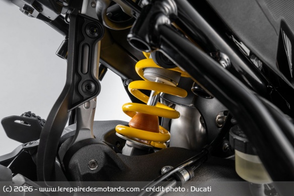 Trail Ducati DesertX V2 Trail Ducati DesertX V2