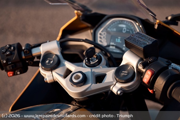 Sportive Triumph Daytona 660 2026