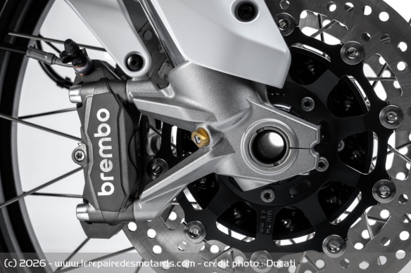 Trail Ducati DesertX V2 Trail Ducati DesertX V2