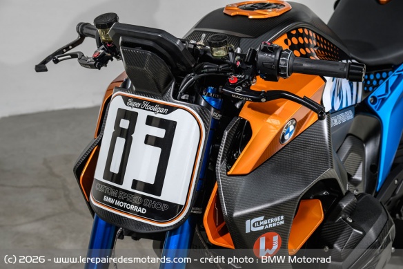 BMW R 1300 R Superhooligan