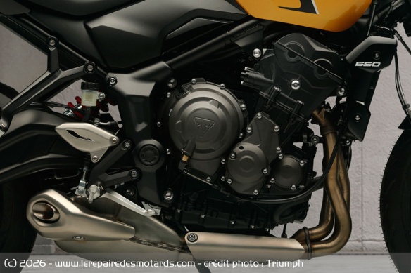 Roadster Triumph Trident 660 2026