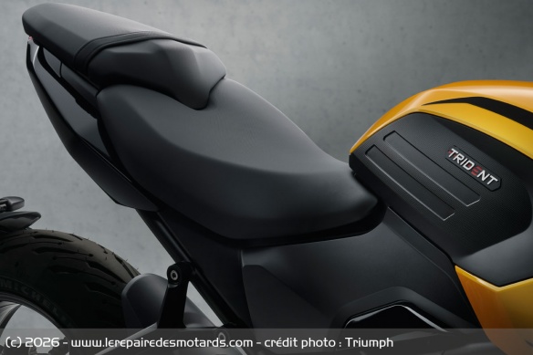 Roadster Triumph Trident 660 2026