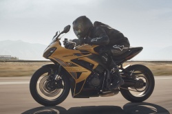 Sportive Triumph Daytona 660 2026