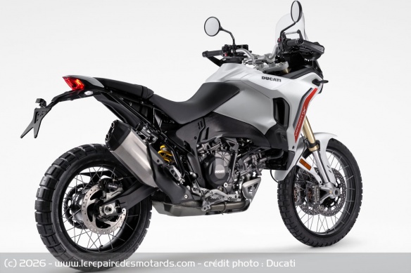 Trail Ducati DesertX V2 Trail Ducati DesertX V2
