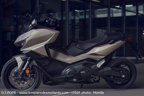 Toute la gamme Forza est en promo durant le mois de mars Toute la gamme Forza est en promo durant le mois de mars