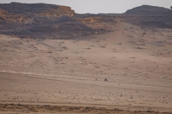 Dakar : Schareina s'impose en ouvreur - Cr&eacute;dit photo : A.S.O / J. Delfosse / DPPI