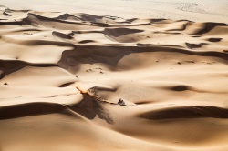 Dakar : 2e victoire d'&eacute;tape pour Benavides - cr&eacute;dit photo : A.S.O. / F. Gooden / DPPI