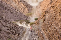 Dakar : Sanders prend les commandes - Cr&eacute;dit photo : A.S.O / F. Gooden / DPPI