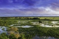 Brésil Météo climat