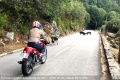 Location moto Corse