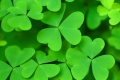 Saint Patrick day