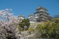 Fiche Identité Japon