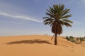 Mauritanie Météo climat
