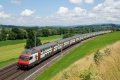 Suisse liens utiles