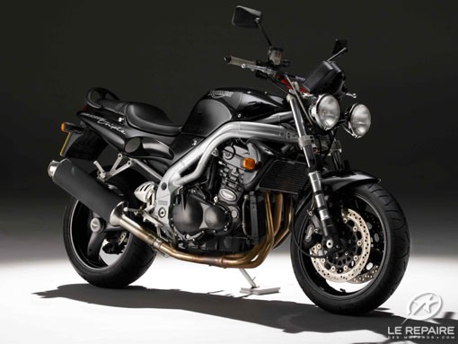 Triumph Speed Triple T 509