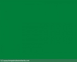 Drapeau vert