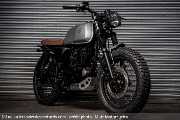 Mutt Akita 250 Mutt Akita 250