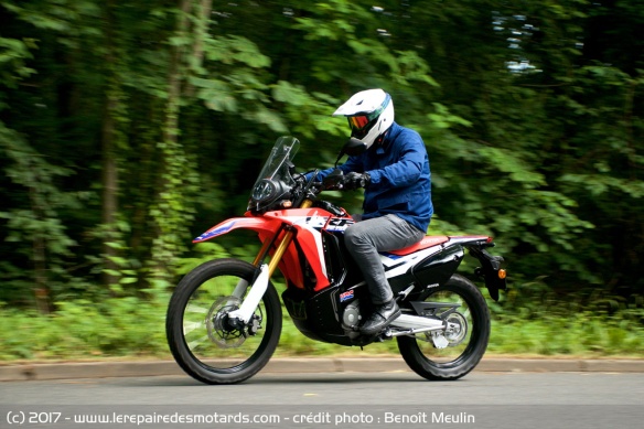 Honda CRF250 Rally
