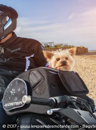 La sacoche Puppy pour votre compagnon de route