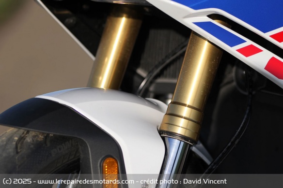 On retrouve la fourche du roadster R 1300 R