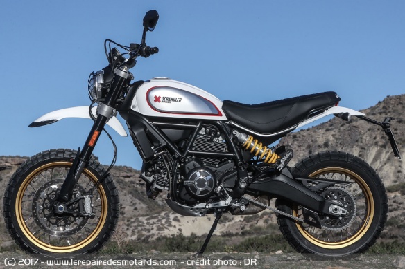 Ducati Scrambler Desert Sled de profil